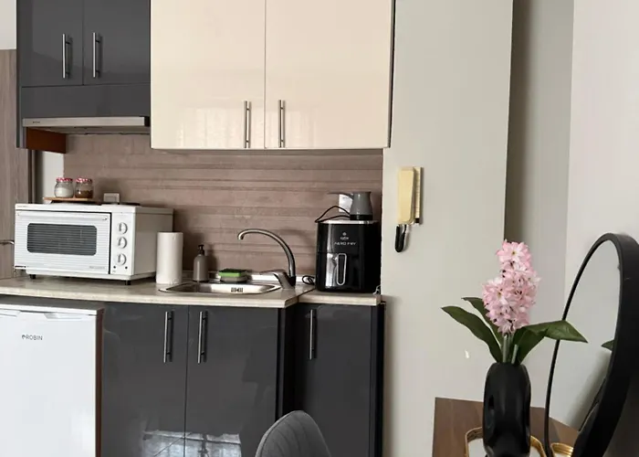 Apartament Alpha 43 *